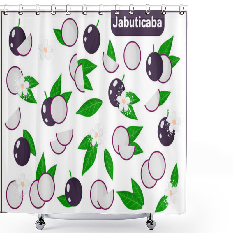 Personality  Set Of Vector Cartoon Illustrations With Whole, Half, Cut Slice Jabuticaba Exotic Fruits, Flowers And Leaves Isolated On White Background Shower Curtains