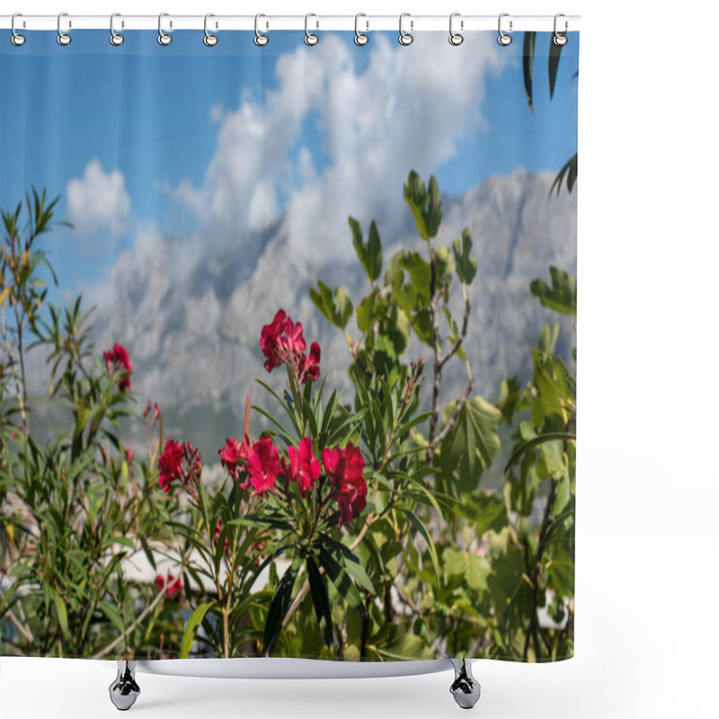 Personality  Red Oleander Blossoms Against The Backdrop Of Mountains In The Makarska Riviera, Croatia Shower Curtains