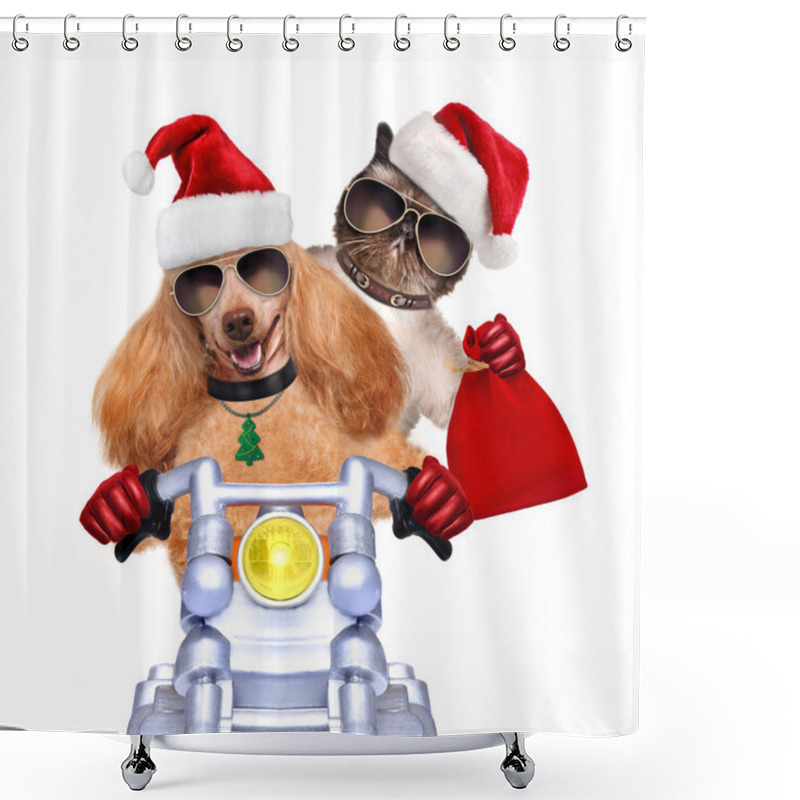 Personality  Cat And Dog In Red Christmas Hats Shower Curtains