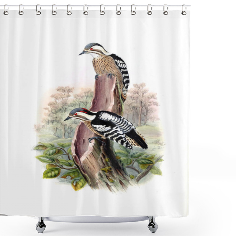 Personality  Illustration Of Animals Old Image Shower Curtains