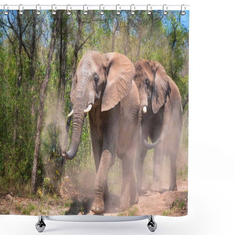 Personality  Elephants Kick Up And Spray Themselves With The Red Dust Of Kruger, South Africa.  Shower Curtains