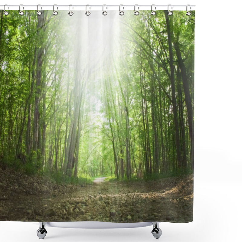 Personality  Spring Green Forest Shower Curtains