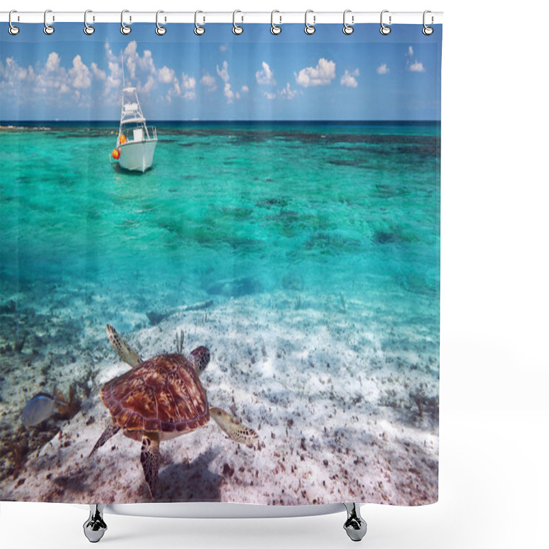 Personality  Green Turtle In Caribbean Sea Scenery Shower Curtains