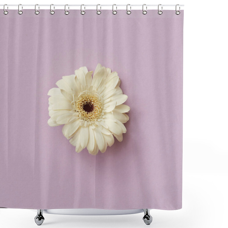 Personality  Beautiful White Gerbera Flower On Pink Background, Greeting Card, Valentine's Day, Mother's Day  Shower Curtains