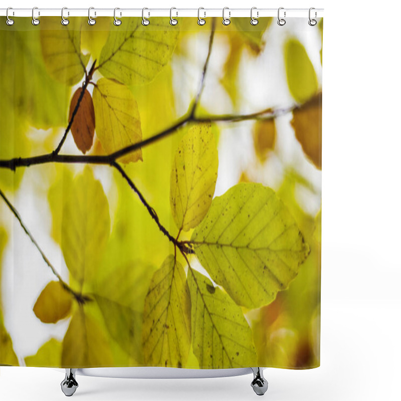 Personality  Close-up Of Autumn Leaves With Golden Hues. Detailed Close-up Of Autumn Leaves With Vibrant Yellow And Orange Hues, Capturing The Essence Of Seasonal Change In Nature. Shower Curtains