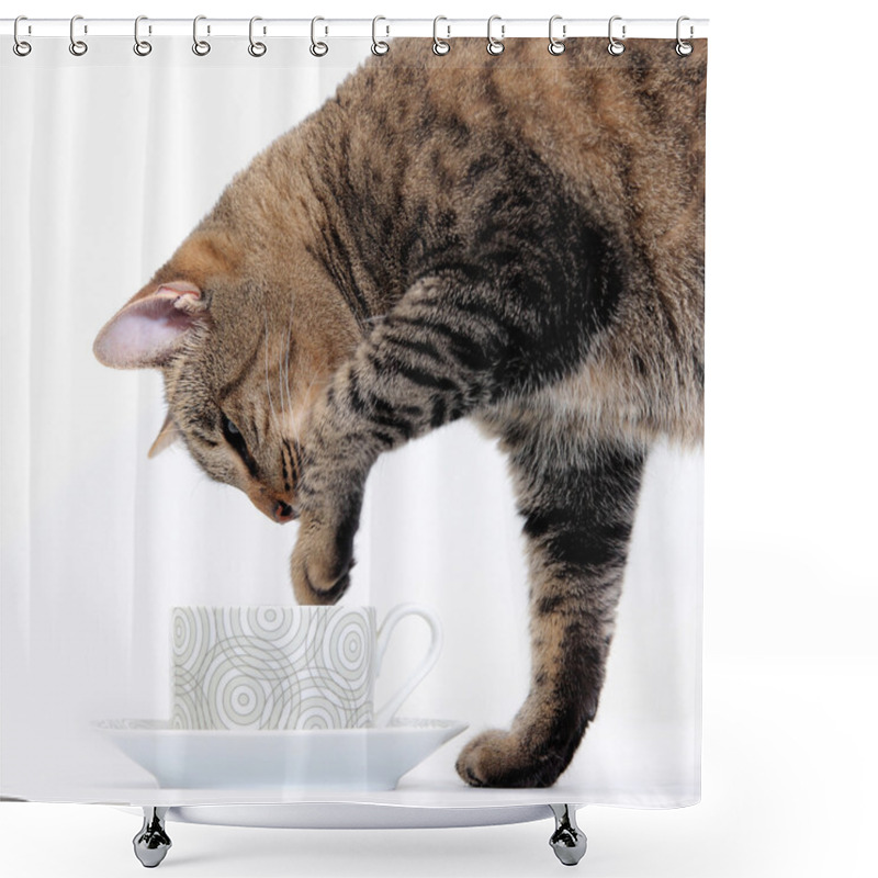 Personality  The Curious Cat Plays With A Cup Of Tea Shower Curtains