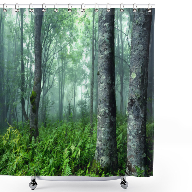 Personality  Fantasy Forest Shower Curtains