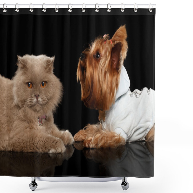 Personality  Scottish Cat And Yorkshire Terrier Dog Isolated Shower Curtains