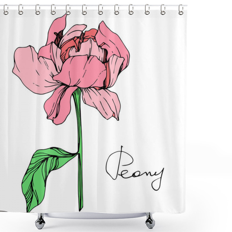 Personality  Vector Isolated Pink Peony Flower With Green Leaves And Handwritten Lettering On White Background. Engraved Ink Art.  Shower Curtains