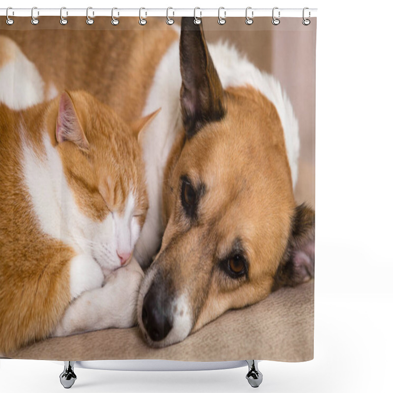 Personality  A Ginger Cat And A Ginger Dog Resting Together On Sofa. Best Friends. Shower Curtains