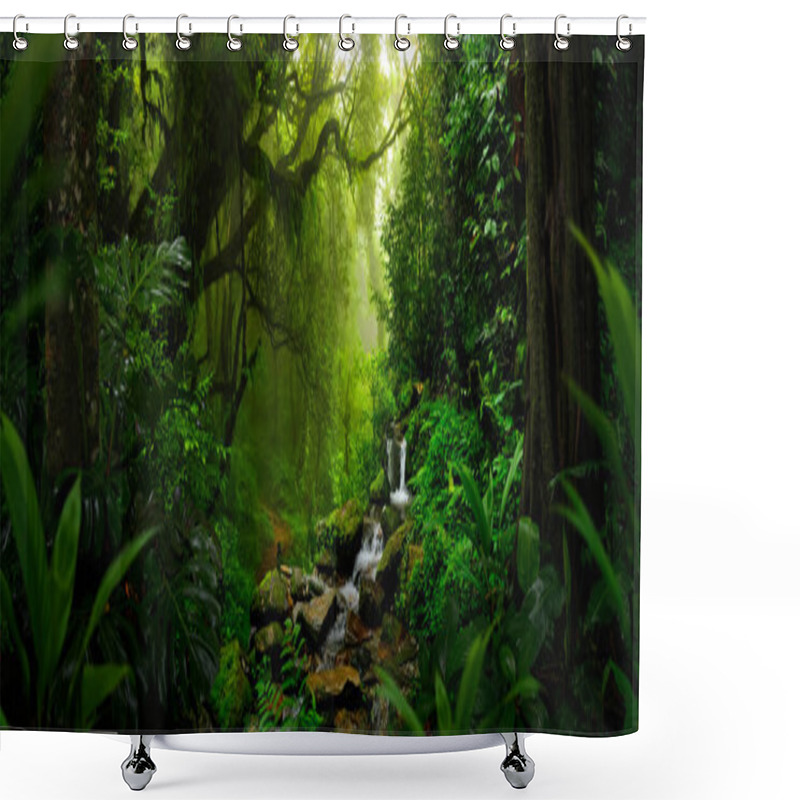 Personality  Tropical Rainforest In Costa Rica Shower Curtains