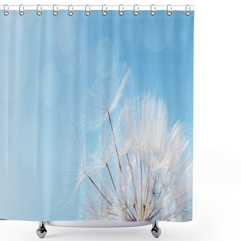 Personality  White Fluffy Dandelion On Soft Blue Sky With Bokeh. Beautiful Flower With Fly Seeds Close Up. Abstract Nature Flowery Banner. Freedom Concept. Shower Curtains