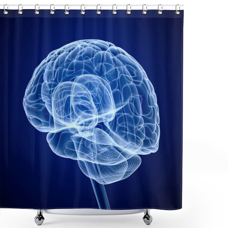 Personality  Brain Scan, X-ray Shower Curtains