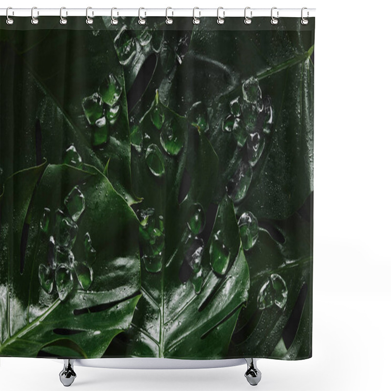 Personality  Top View Of Beautiful Green Wet Tropical Leaves And Ice Cubes Shower Curtains