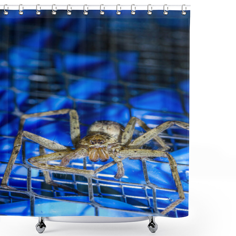 Personality  Brown Huntsman Spider On Electric Mosquito Bat  Shower Curtains