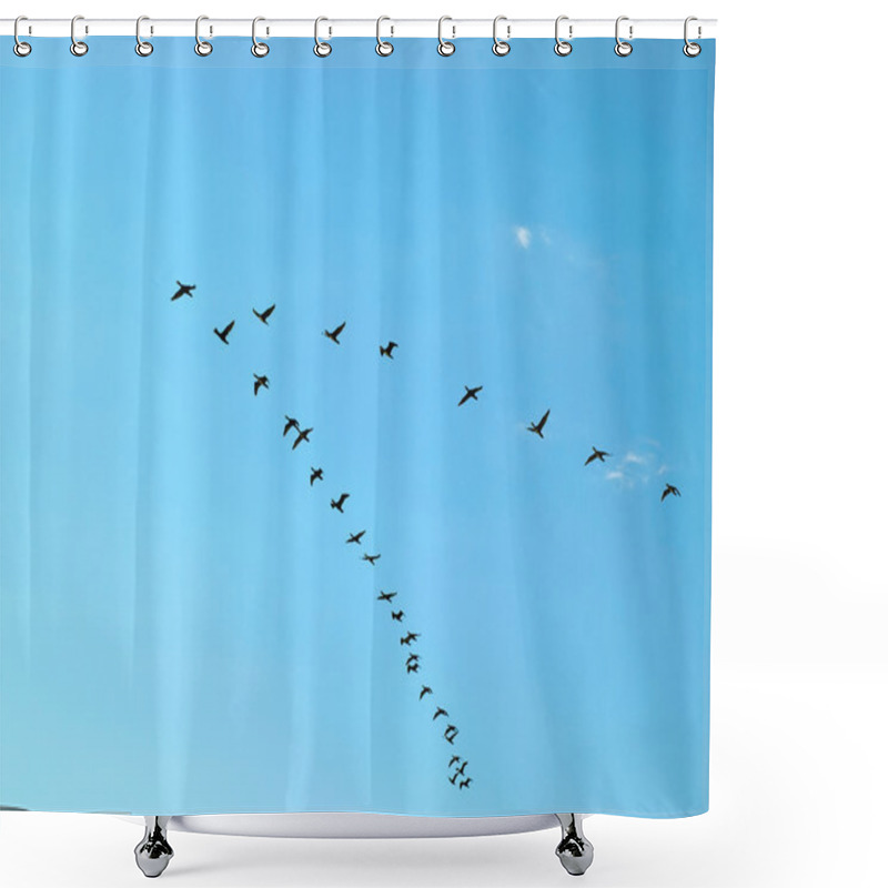 Personality  Silhouette Of Flying Birds Shower Curtains