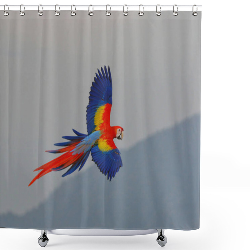 Personality  Scarlet Macaw Parrot Flying Over The Mountain. Shower Curtains