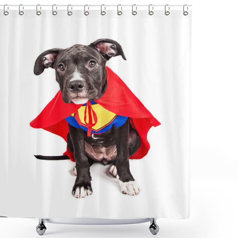 Personality  Superhero Puppy Dog Wearing Vest Shower Curtains