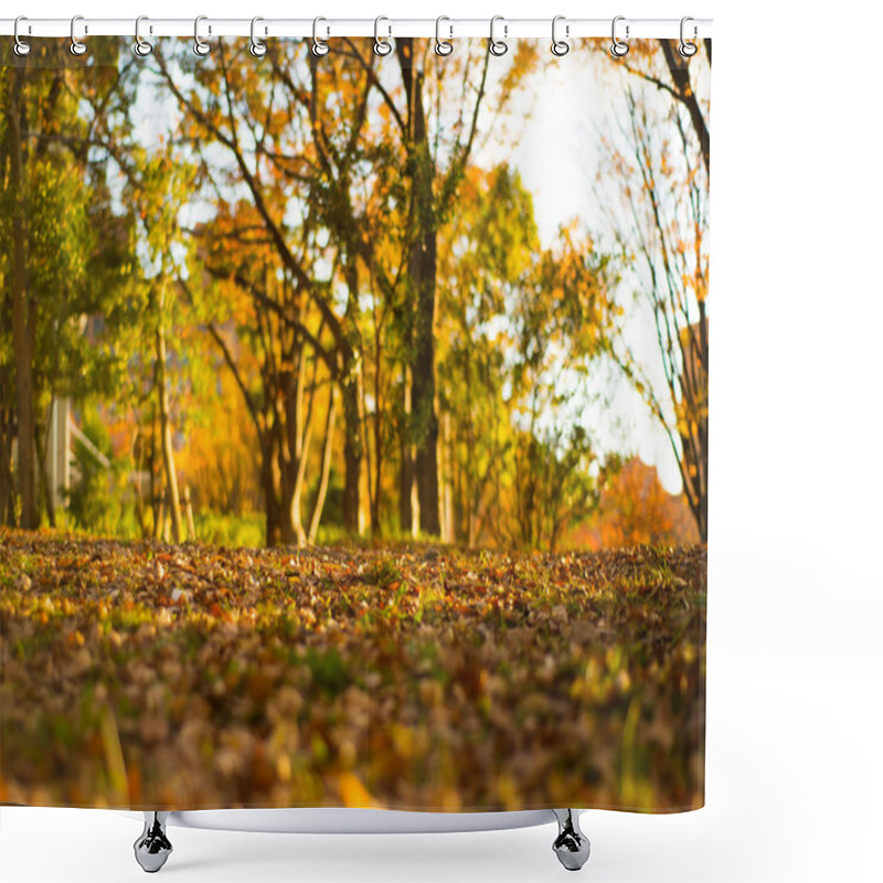 Personality  Blur Picture Of Autumn Season And Sunlight At Nagoya Castle Garden Shower Curtains