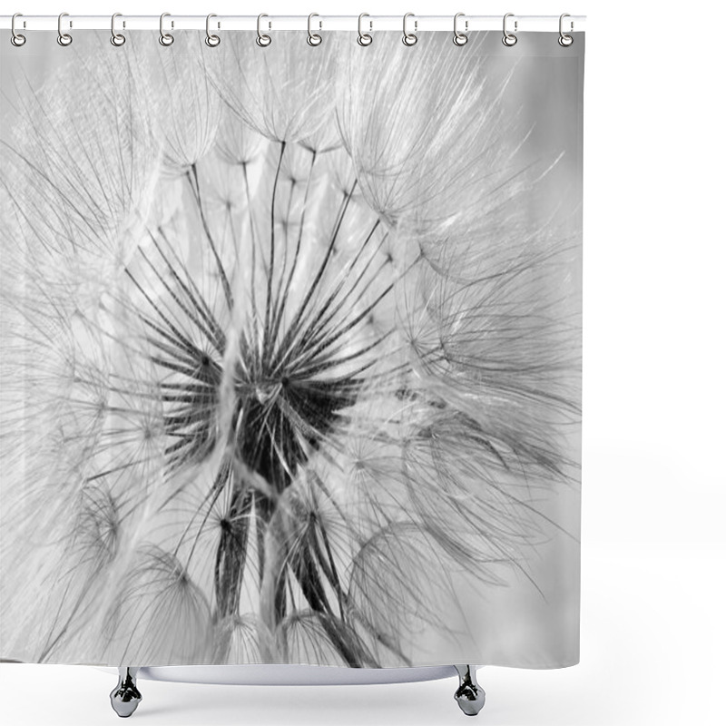 Personality  Black And White Abstract Dandelion Shower Curtains