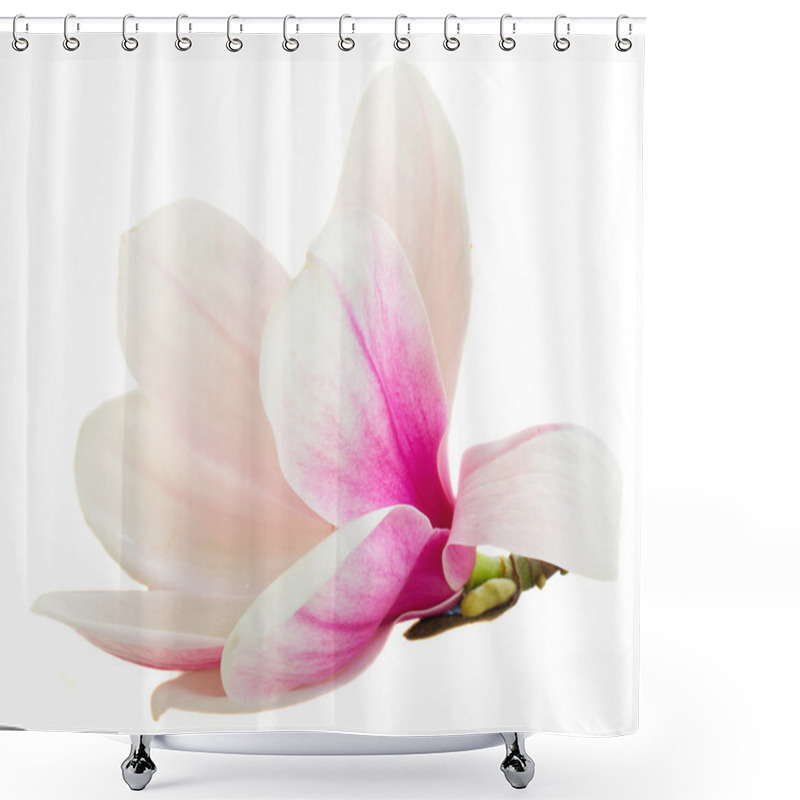 Personality  Blossoming Pink  Magnolia Flowers Shower Curtains