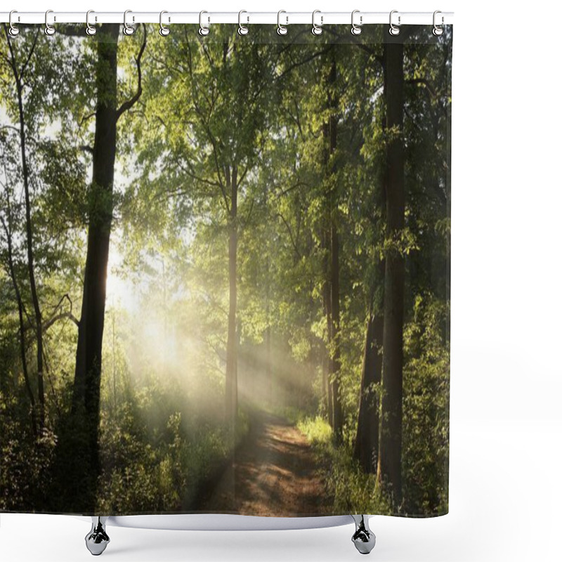 Personality  Deciduous Forest At Dawn Shower Curtains