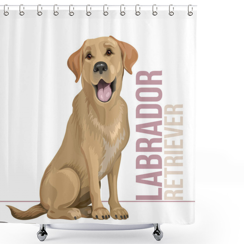 Personality  Happy Black Labrador Retriever Sitting On White Background Shower Curtains