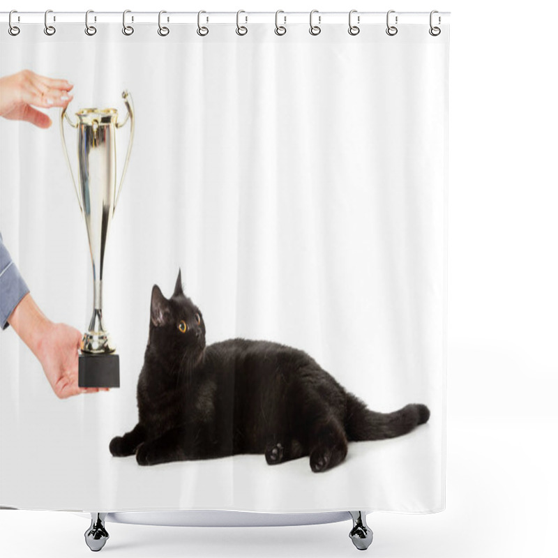 Personality  Cropped Image Of Man Giving Golden Trophy Cup To Black British Shorthair Cat Looking Away Isolated On White Background  Shower Curtains