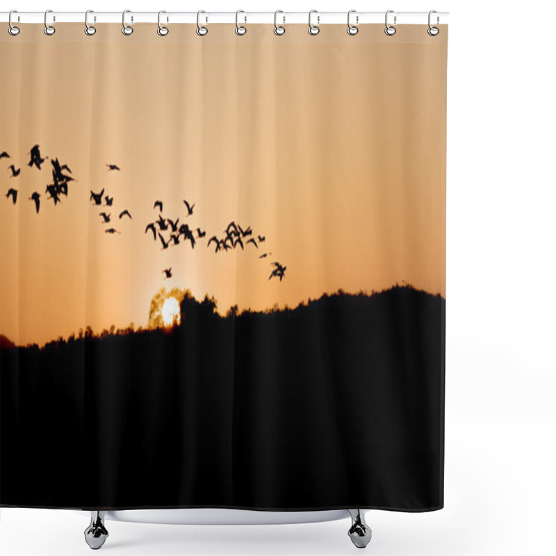 Personality  Sunset Tropical Birds Silhouettes Flying  Shower Curtains