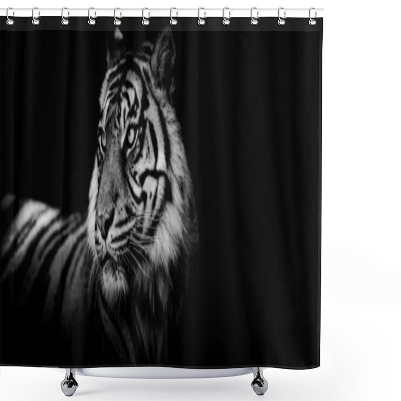 Personality  Template Of A Tiger With A Black Background Shower Curtains