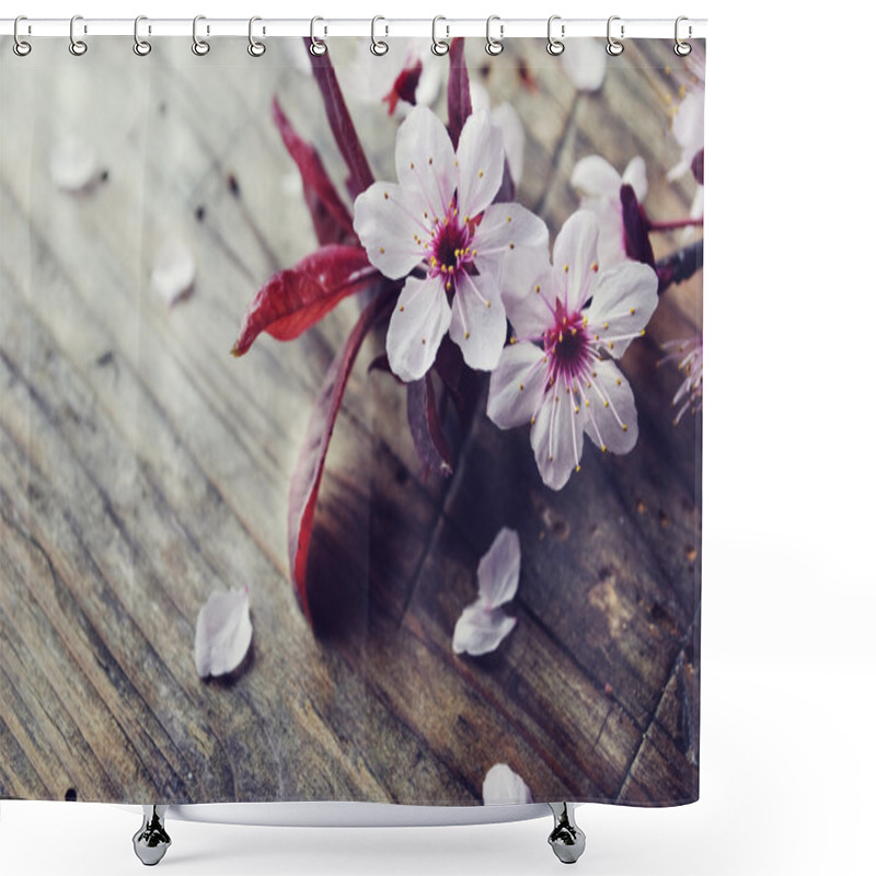 Personality  Spring Blossom Shower Curtains