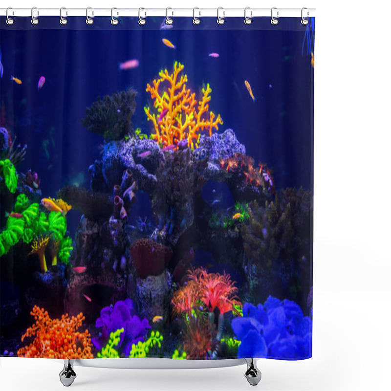 Personality  Tropical Fish With Corals And Algae Shower Curtains