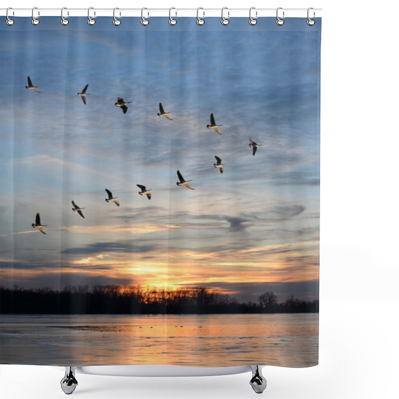 Personality  Canadian Geese Flying In Formation Shower Curtains