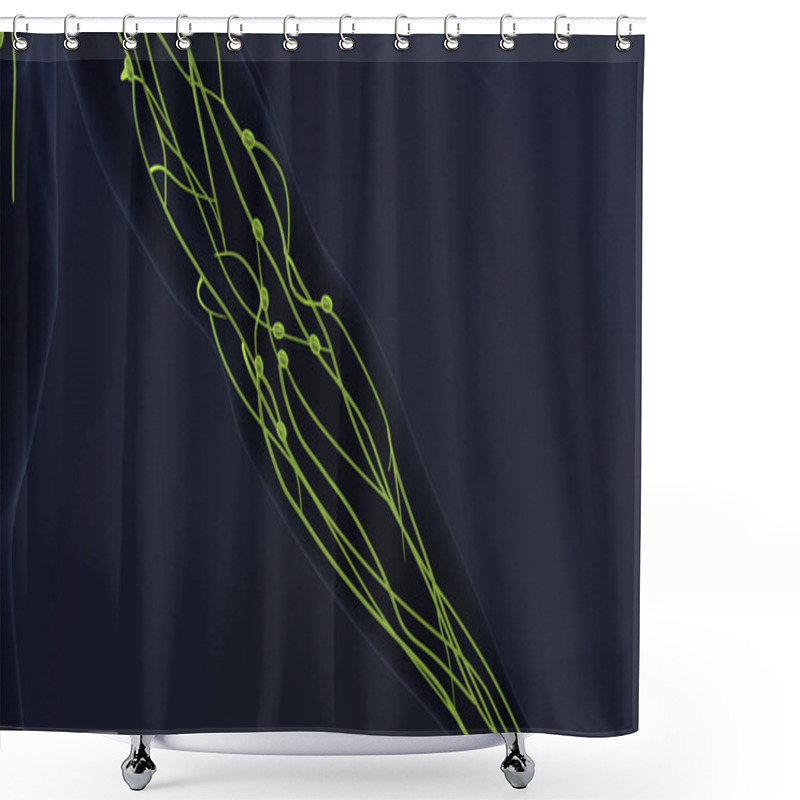 Personality  Human Lymphatic System 3d Animation Shower Curtains