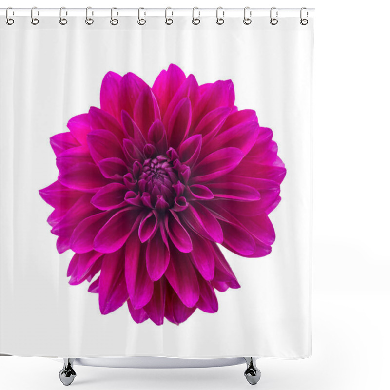 Personality  Purple Autumn Dahlias On White Background. Copy Space. Isolated On White Shower Curtains