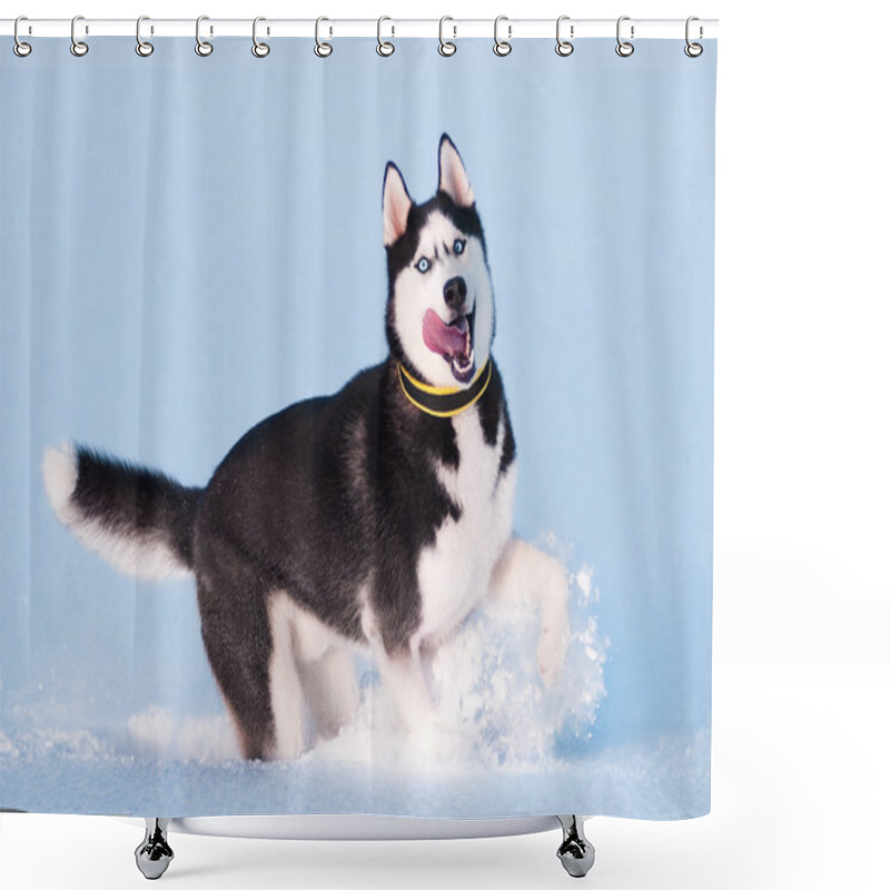 Personality  Siberian Husky On White Snow Shower Curtains