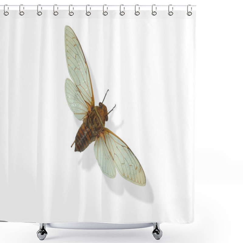 Personality  Moth Shower Curtains