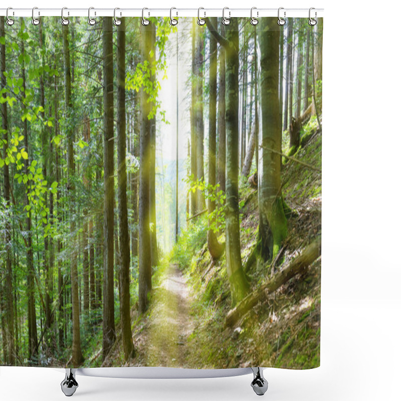 Personality  Path Through Green Trees In Forest Shower Curtains