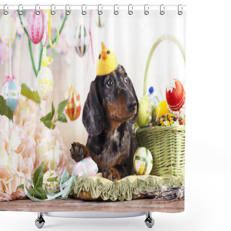 Personality  Dachshund Dog In Hat Shower Curtains