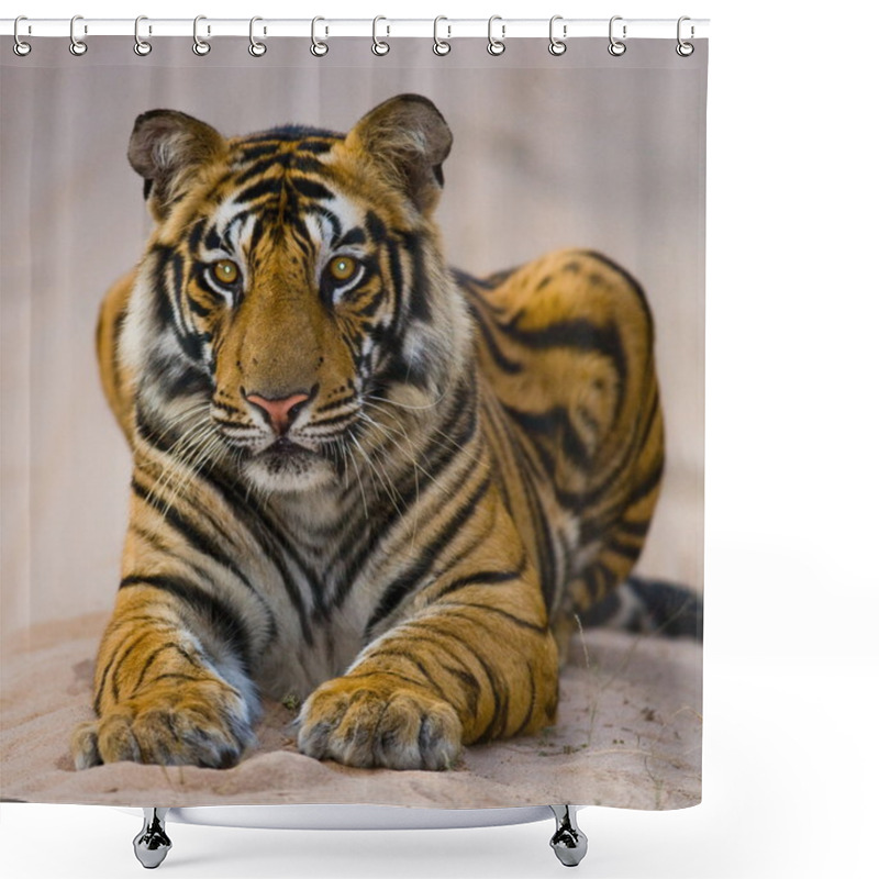 Personality  Young Tiger Outdoors Shower Curtains