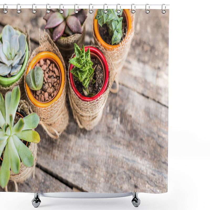 Personality  Succulents, House Plants Shower Curtains