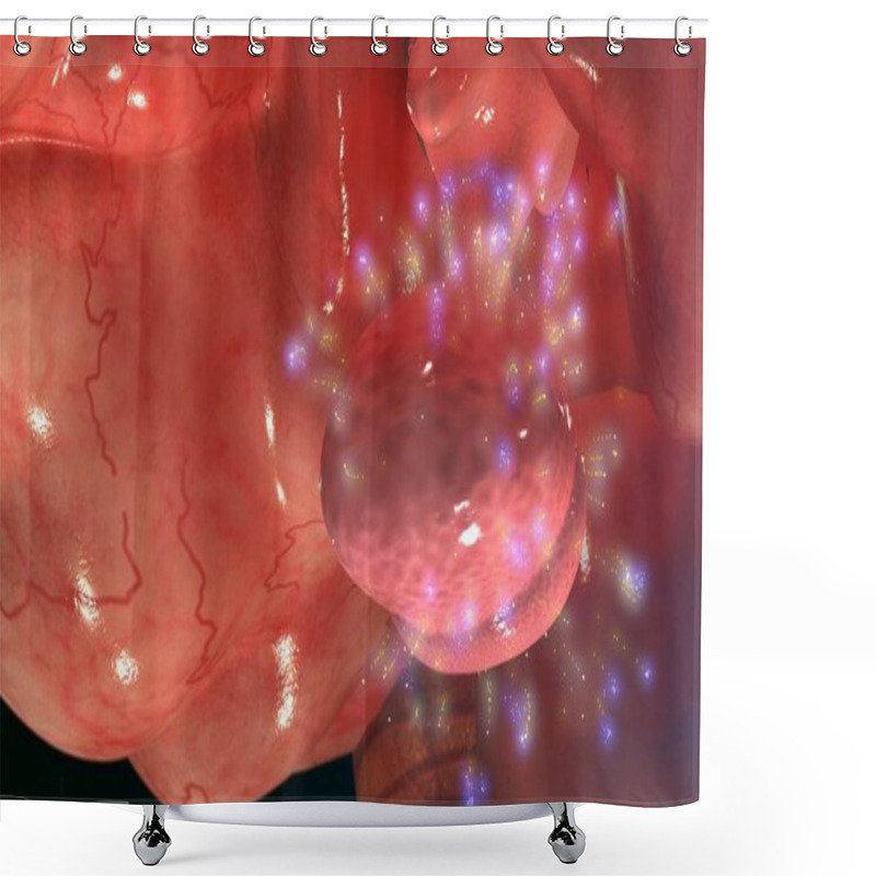 Personality  Pituitary Gland Anatomy Shower Curtains