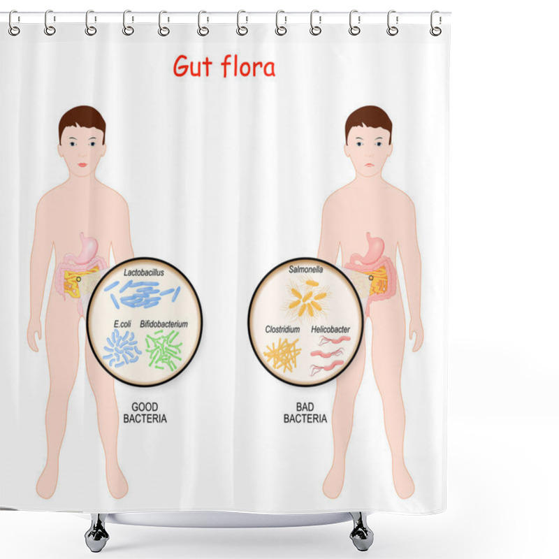 Personality  Good And Bad Bacteria. Gut Flora Of Children. Kids With Intestines And Different Forms Of Bacteria. Close-up Of Enteric Bacteria. Intestinal Flora With Probiotic. Vector Illustration For Medical And Educational Use Shower Curtains