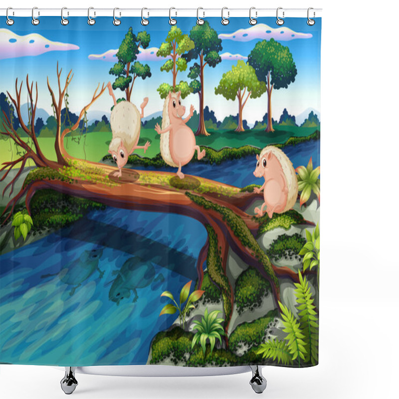 Personality  Hedgehogs Playing At The River Shower Curtains