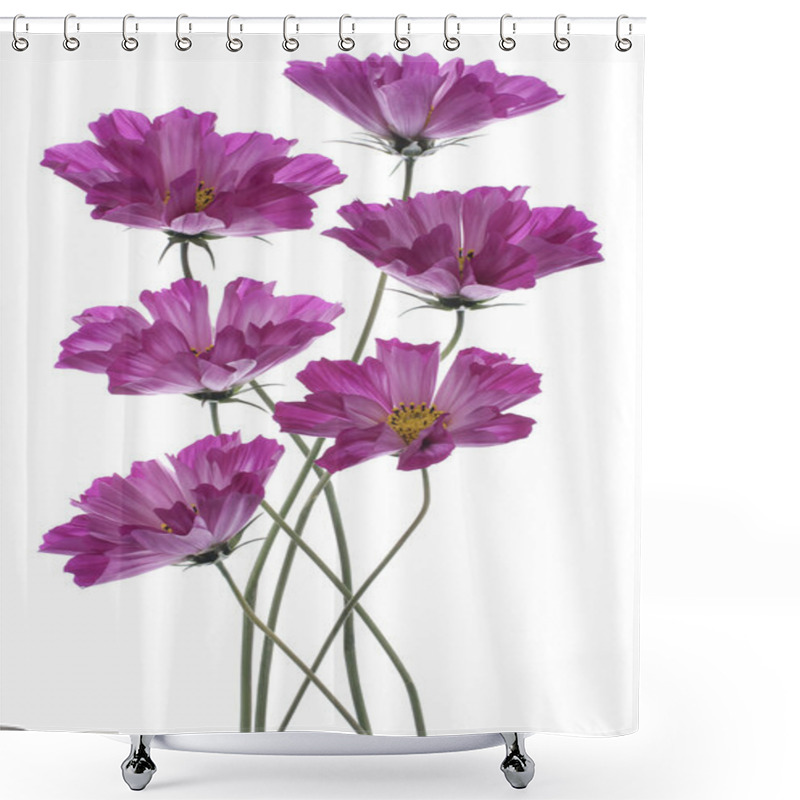 Personality  Cosmos Shower Curtains