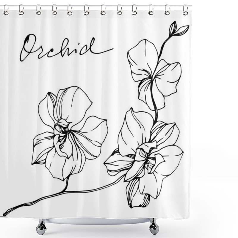 Personality  Vector Monochrome Orchids With Orchid Lettering Isolated On White. Engraved Ink Art. Shower Curtains