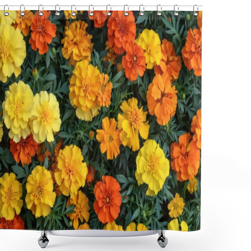 Personality  Vibrant Marigolds In Shades Of Orange, Yellow, And Gold Create A Cheerful Floral Display. Shower Curtains