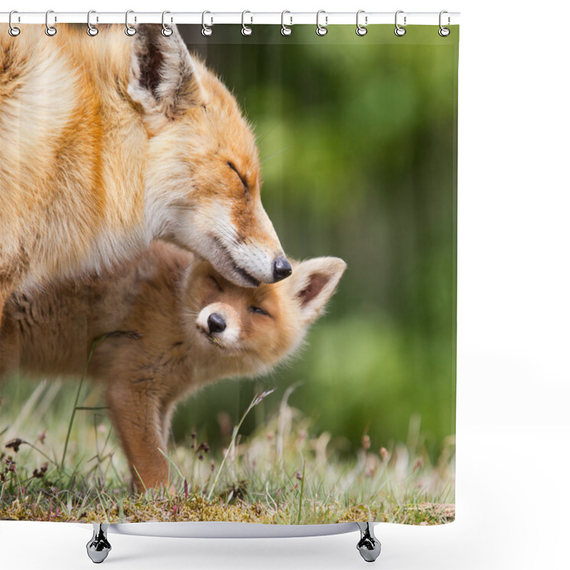 Personality  Red Fox Mother And Cub Shower Curtains