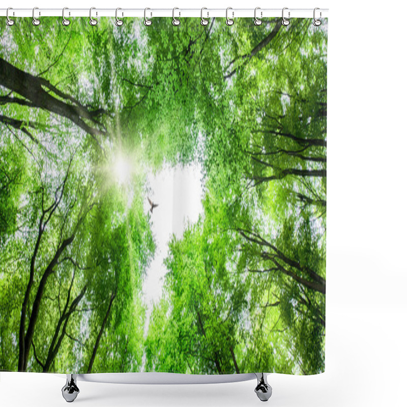 Personality  View Through Tree Canopy With Bird Soaring Shower Curtains