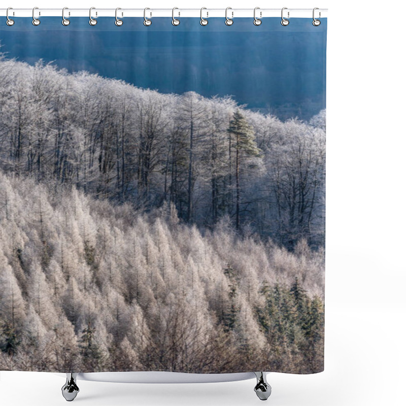 Personality  Frozen Spruce Forest In Beskydy Mounains In Czech Republic Cold Temperature Shower Curtains